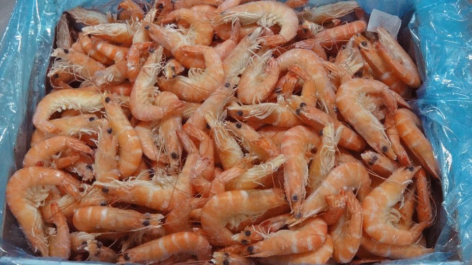 Cooked Head-on Shrimp products,China Cooked Head-on Shrimp supplier