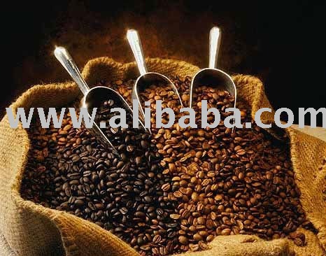 Coffee Luwak on Coffee Luwak Products Indonesia Coffee Luwak Supplier