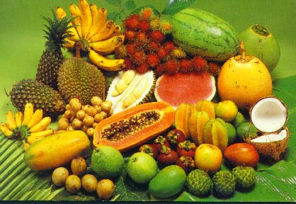Fruit Tropical