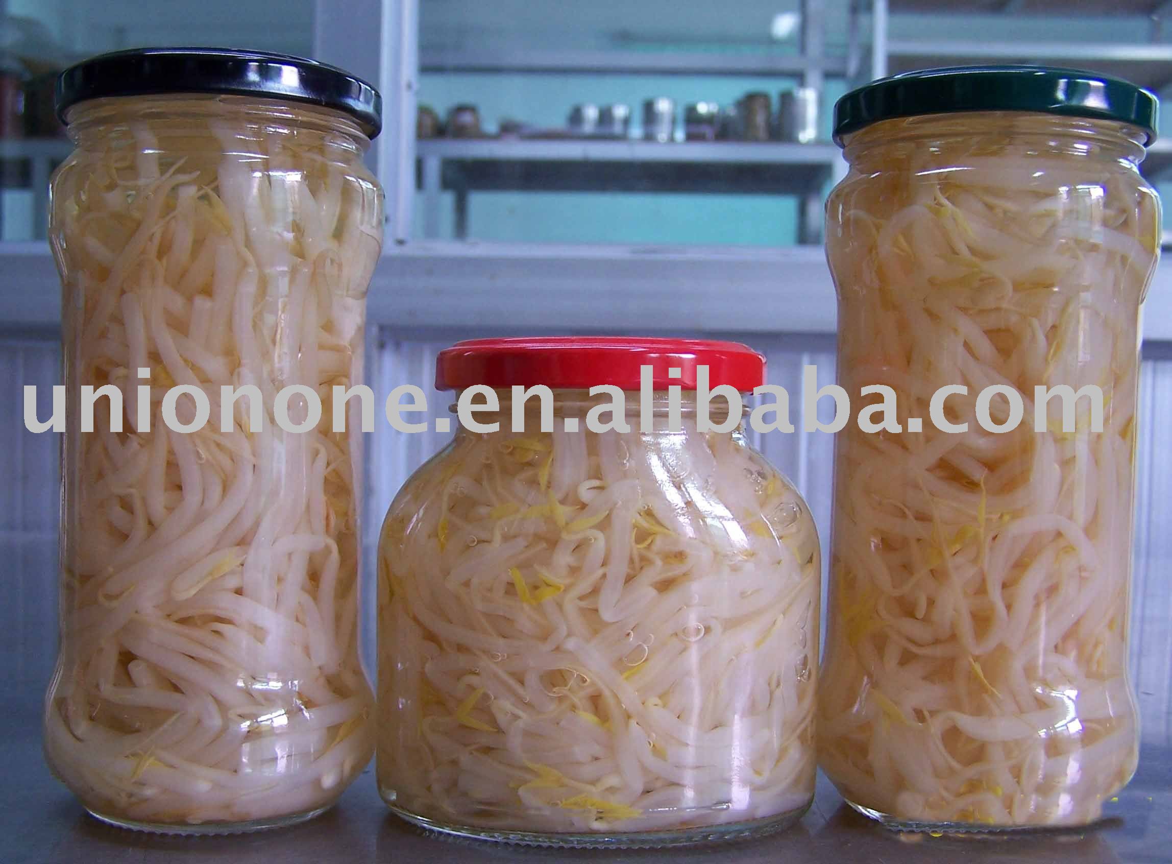 bean sprout chinese bean sprout chinese