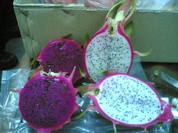 purple fruit