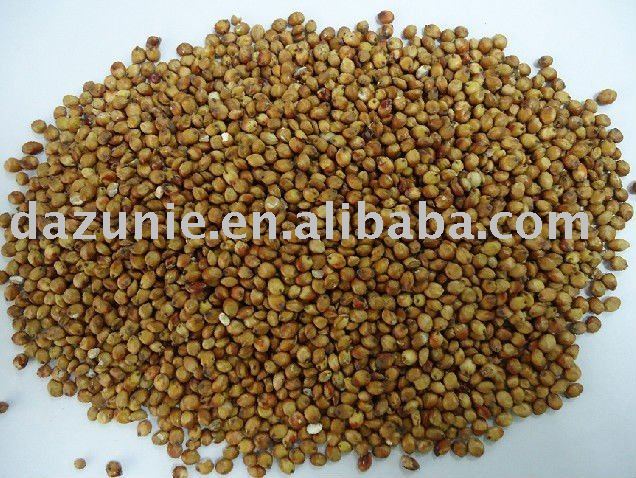 grain sorghum seed