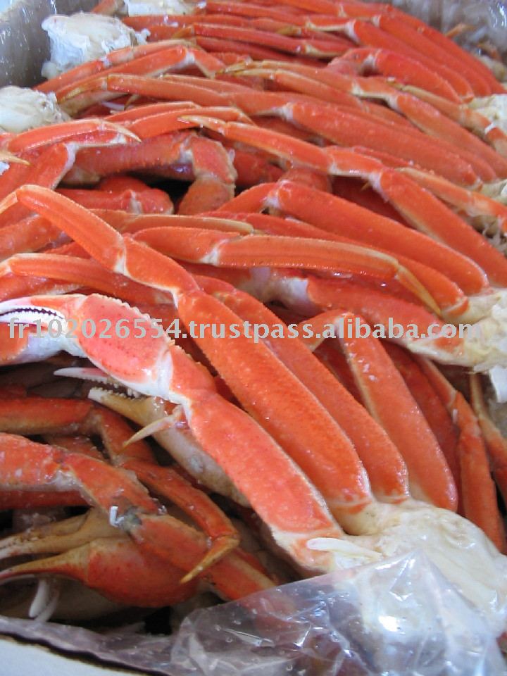 Snow Crab