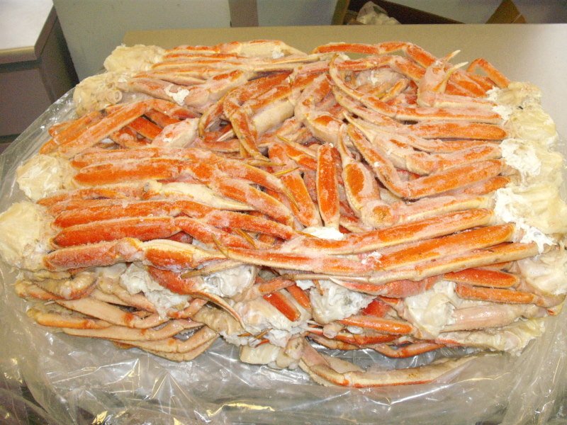 Snow Crab