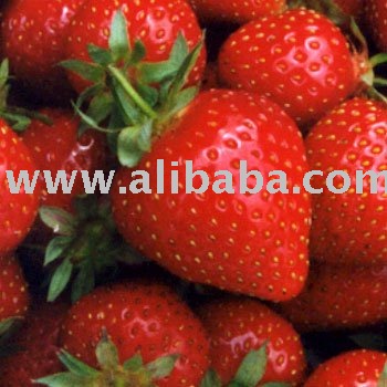 Strawberry &Frozen Strawberry