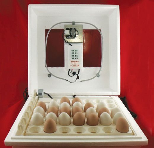 Egg Incubator Hatching Machine products,Cameroon Chicken Egg Incubator 