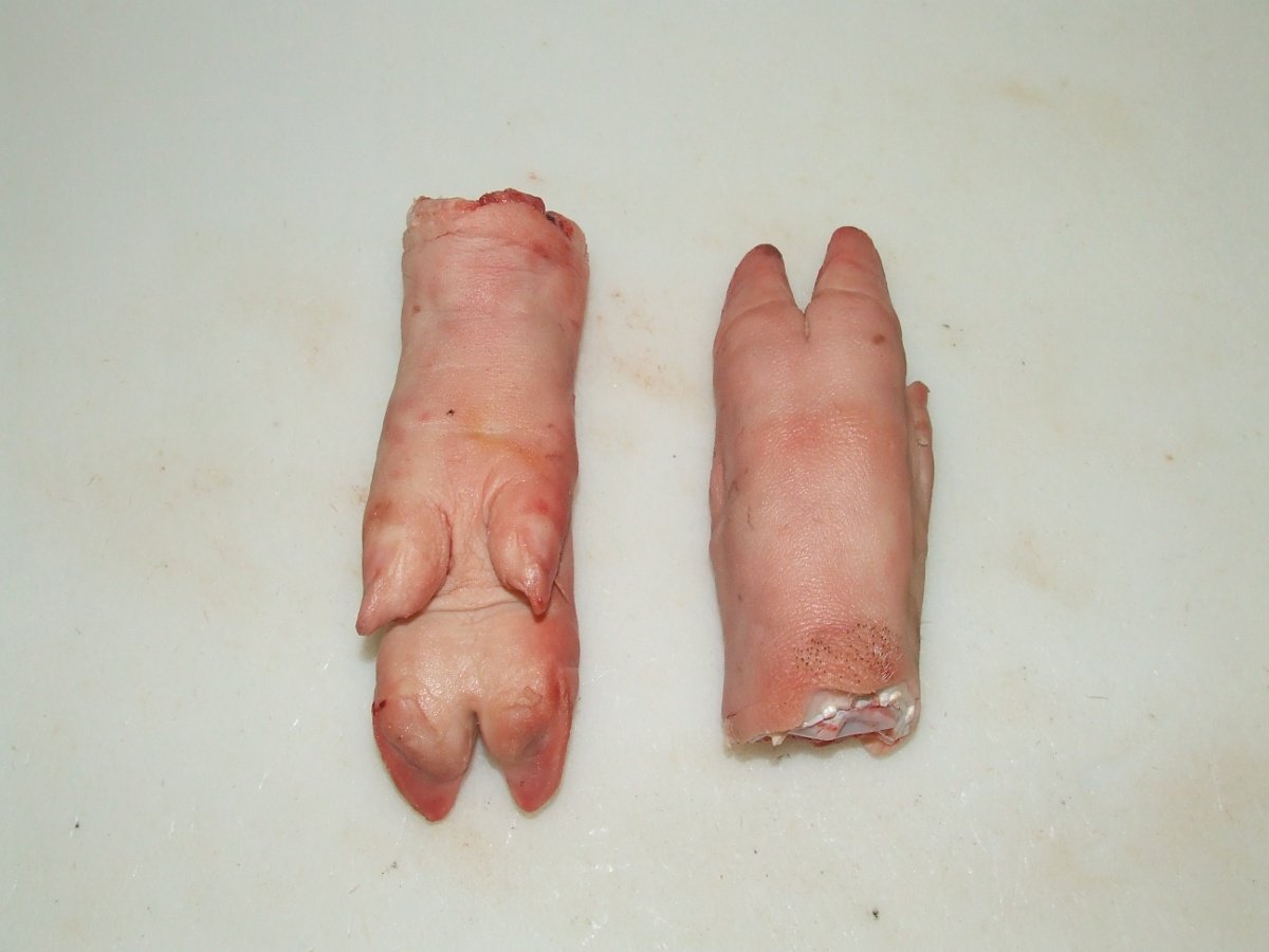 Pork Feet