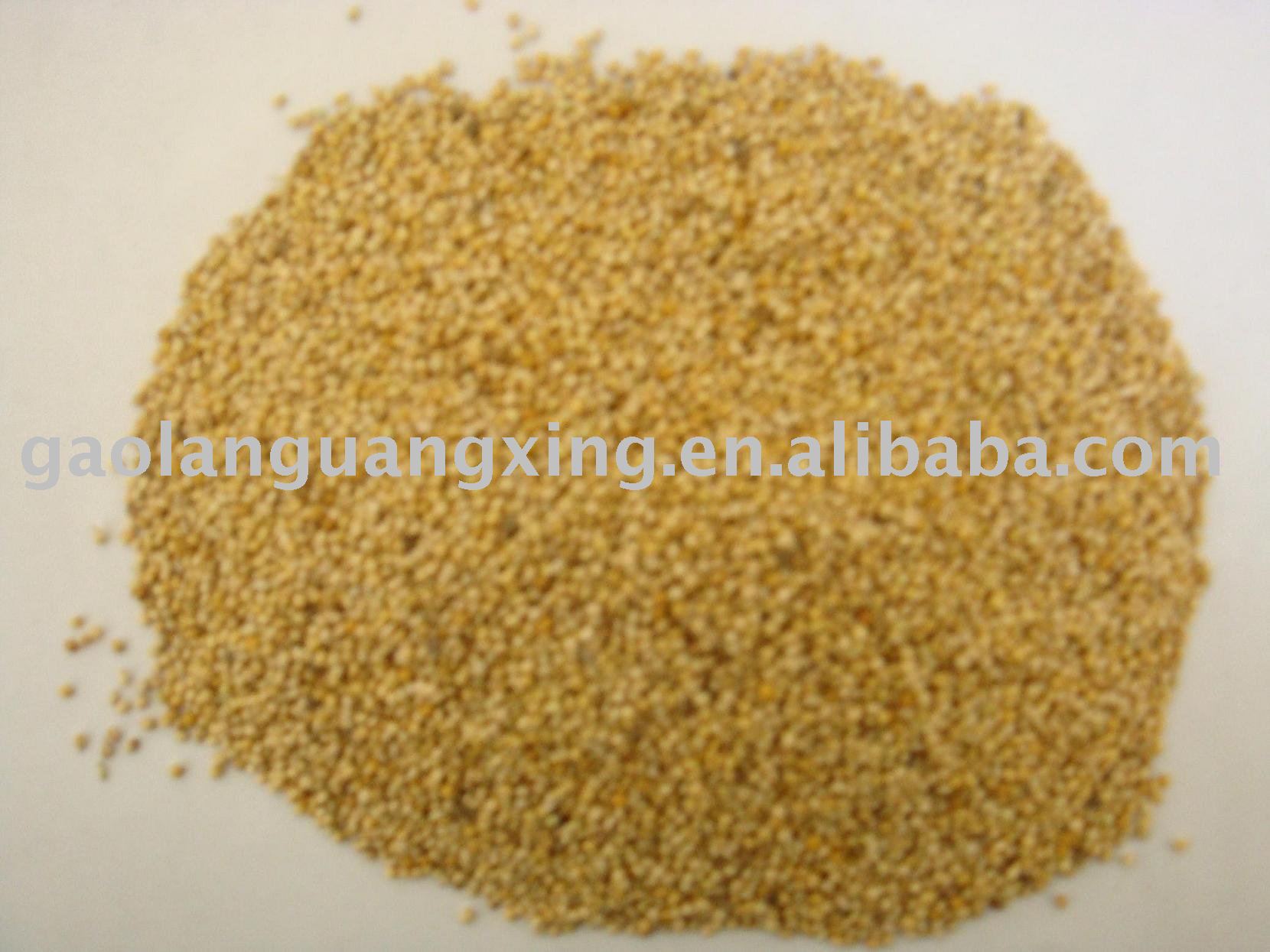 YELLOW MILLET