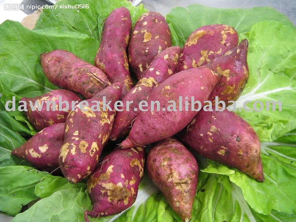 chinese-purple-sweet-potato-products-china-chinese-purple-sweet-potato