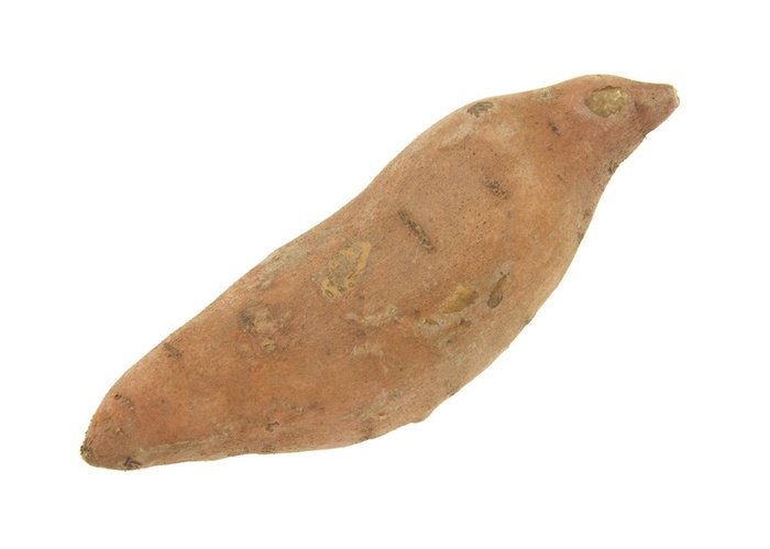 Sweet Potato products,India Sweet Potato supplier