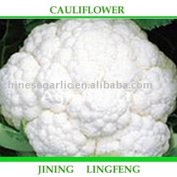 Cauliflower Chinese
