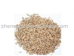 Barley Malt Powder