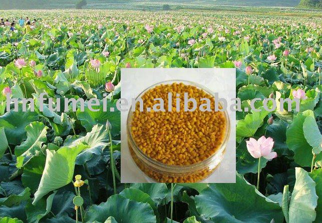 chinese bee pollen