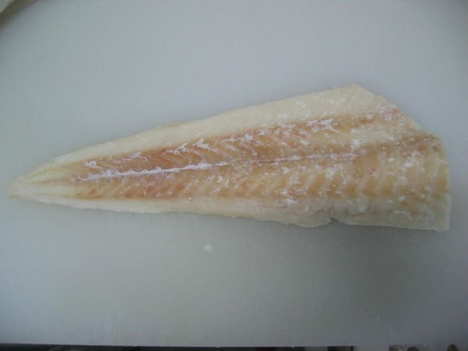 crocodile fillet