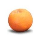 satsuma mandarin clementine tangerine