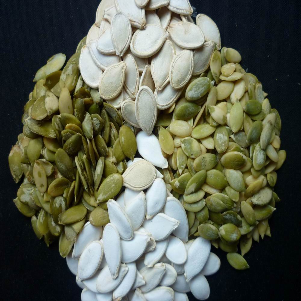 Snow white pumpkin seeds kernels AA CLASS