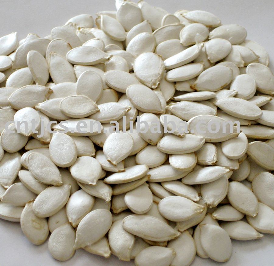 white pumpkin seeds in shell with high quality and white pumpkin seeds in shell with high quality and
