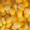 American Yellow Corn Grade 2