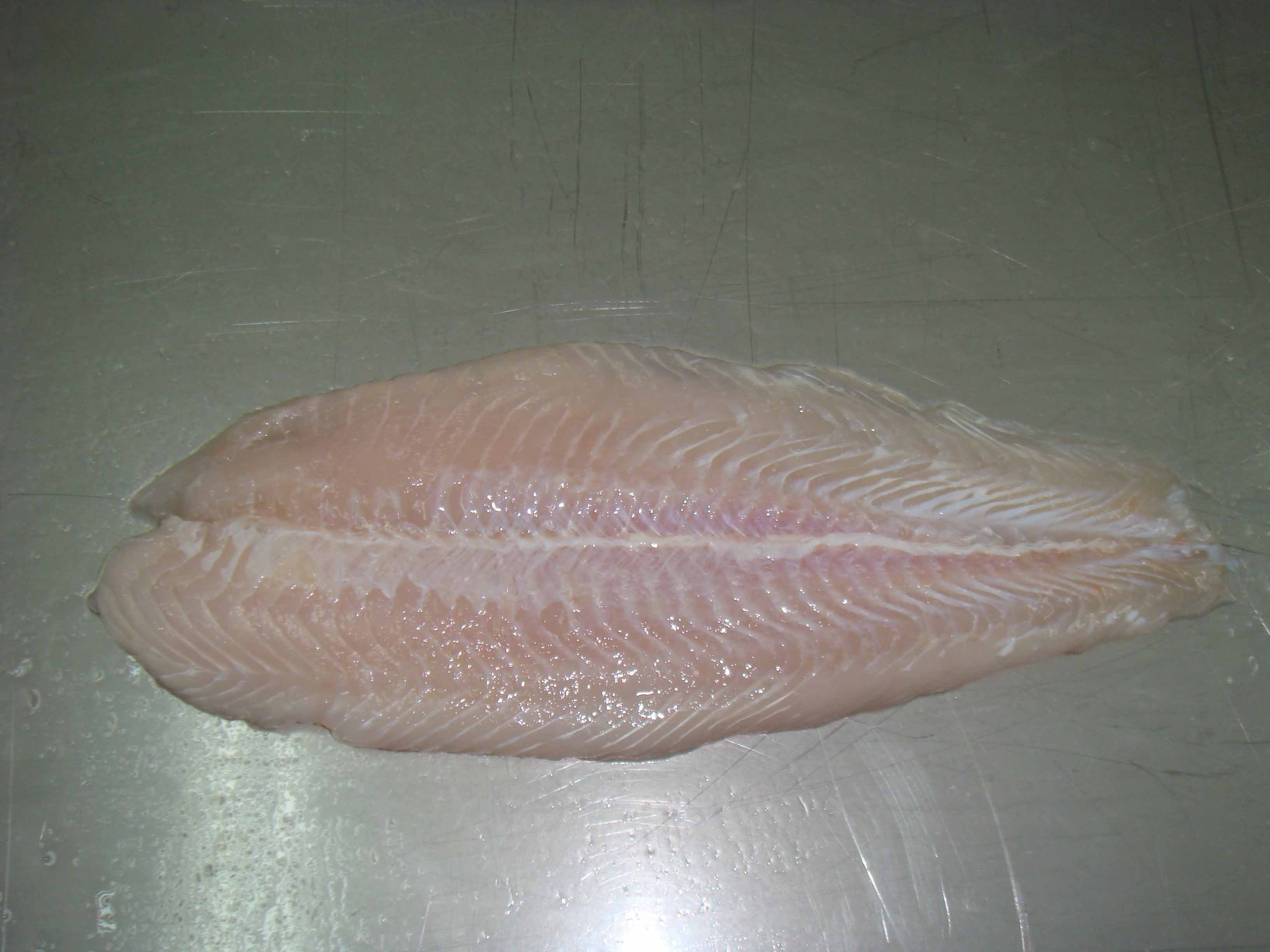 Frozen Fish Fillet