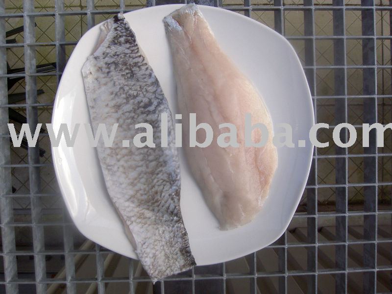 Frozen Barramundi Fillet Skin On Boneless Belly Fat Off Vietnam Haco