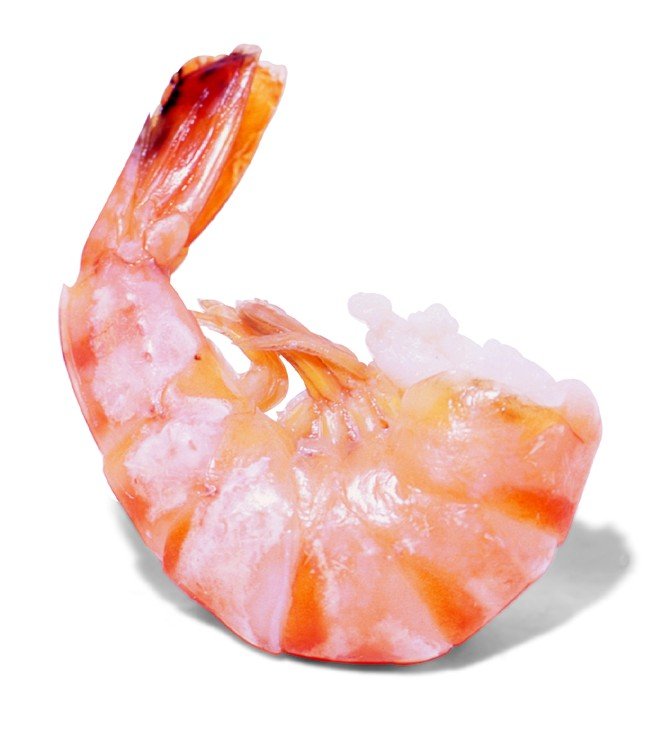 Pink Shrimp