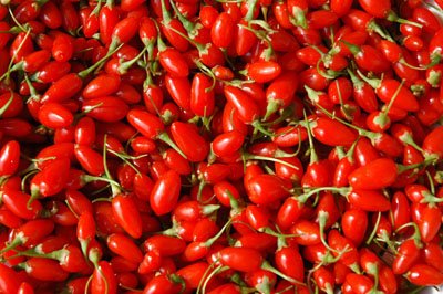 Goji Berry Juice Concentrate China Oem Price Supplier Food