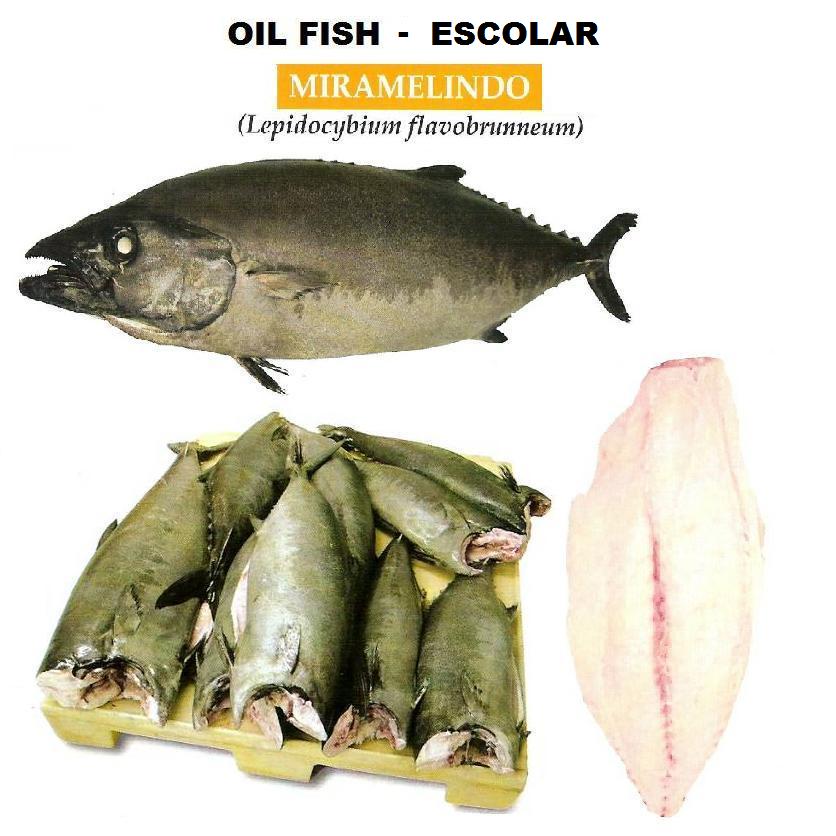 oil-fish-escolar-fish-miramelindo-fish-products-venezuela-oil-fish