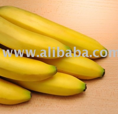 Cavendish Banana