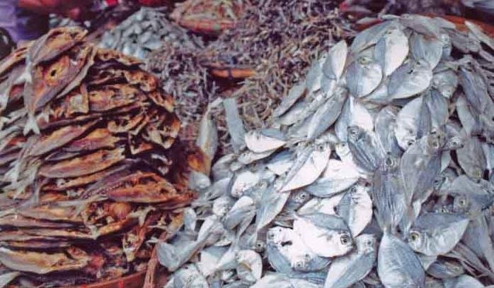 dried-fish-salted-fish-from-bangladesh-products-bangladesh-dried-fish