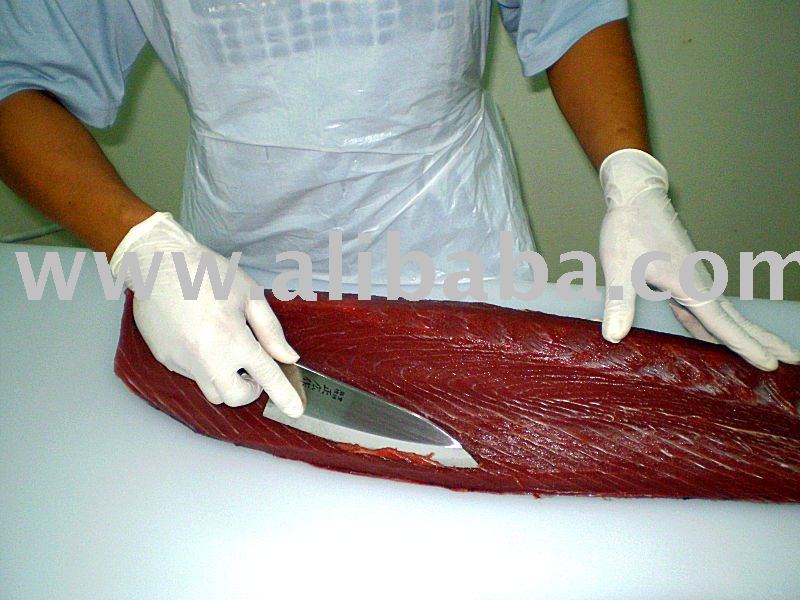 Tuna Maguro