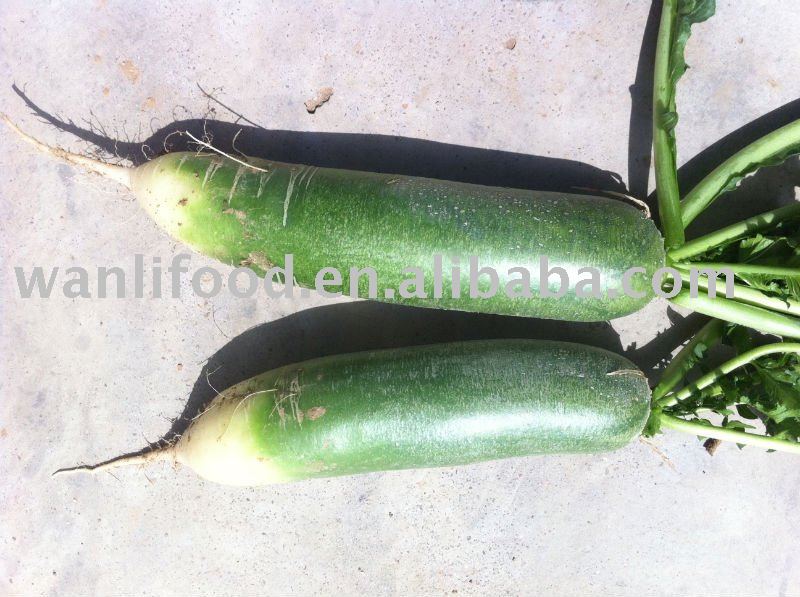 Green Radish Products,china Green Radish Supplier