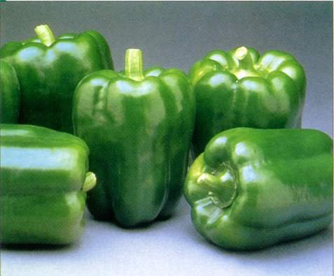 fresh green pepper