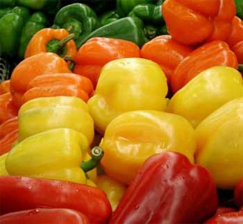 premium quality peppers