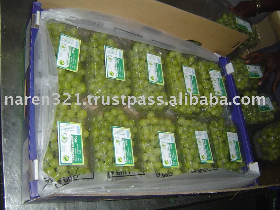 australian table grapes