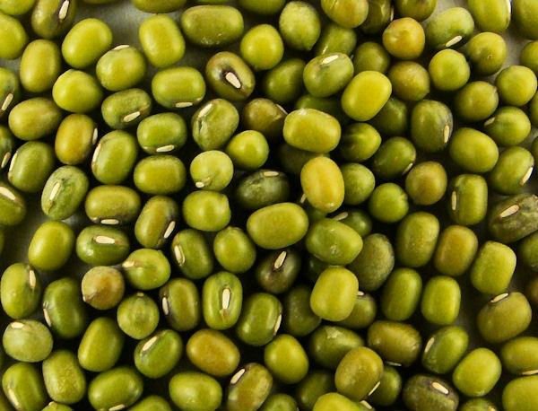 green mung beans for sale