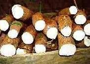 cassava yam