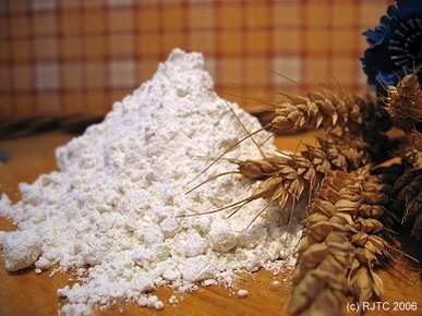 wheat gluten flour