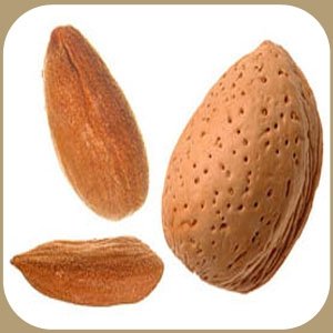 Almonds Shelled