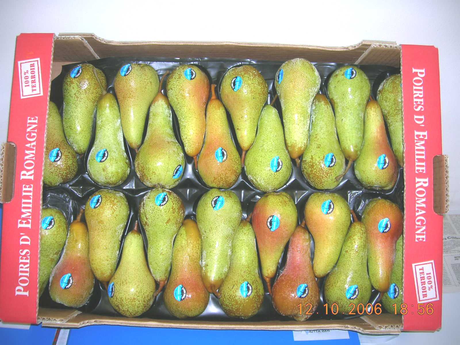 abate fetel pear