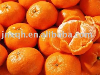 fresh honey mandarin orange products,China fresh honey mandarin ...