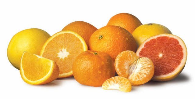 Citrus Lemon Oranges Grapefruit Tangerines Products Argentina Citrus Lemon Oranges Grapefruit Tangerines Supplier