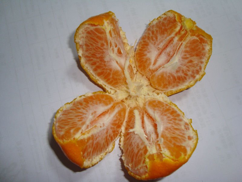 Honey Mandarin Orange products,China Honey Mandarin Orange supplier