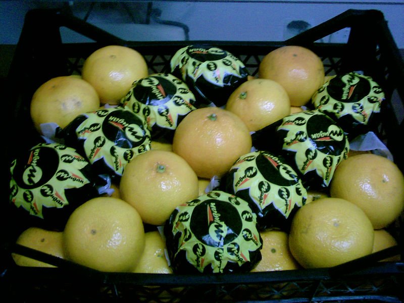 Mandarin Satsuma