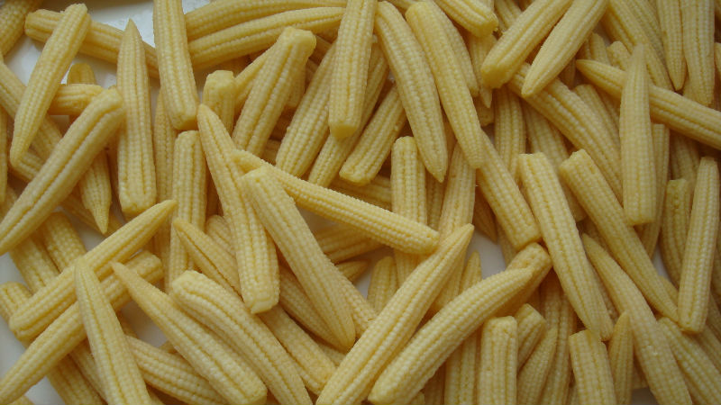 canned  baby corn (canned food)