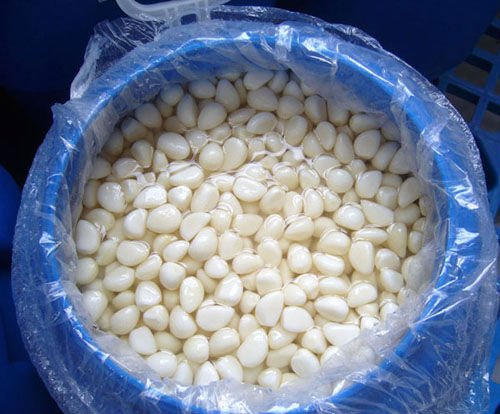 Peeled Pickled Garlic In Brine China Dayang Price Supplier Food