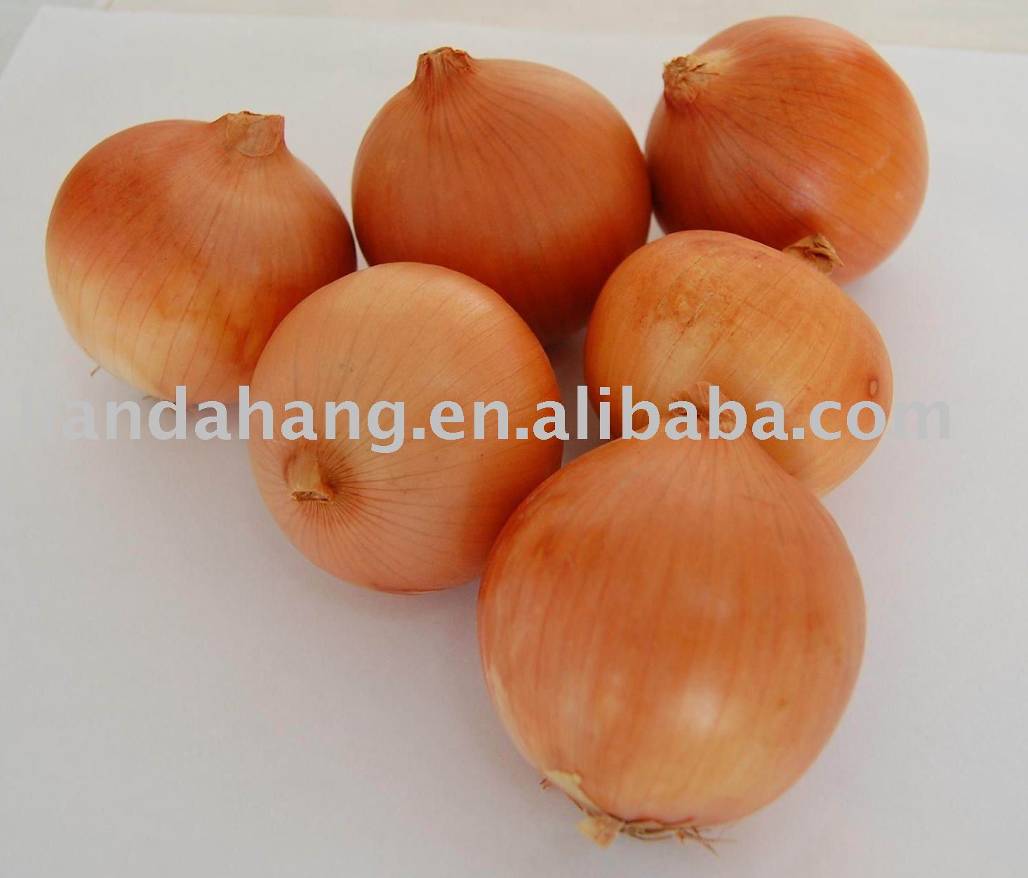 Western Yellow Onion