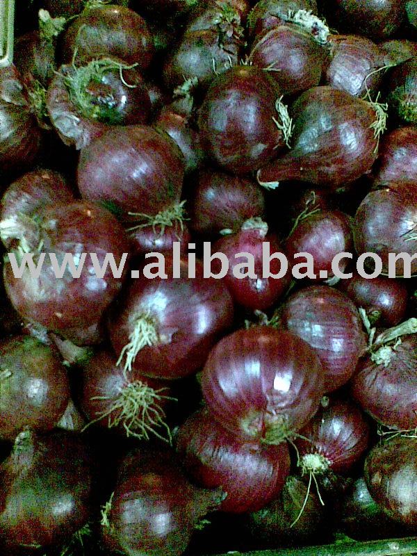 red onion color