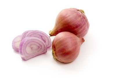 shallot onion