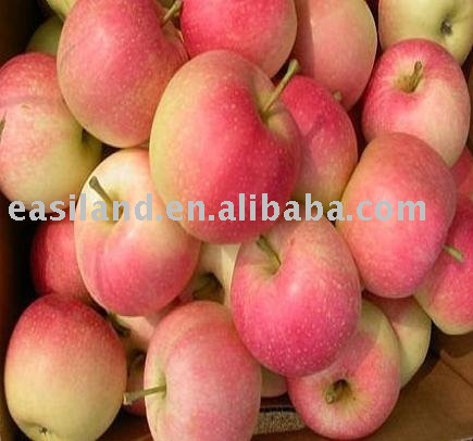 Organic Fuji Apples