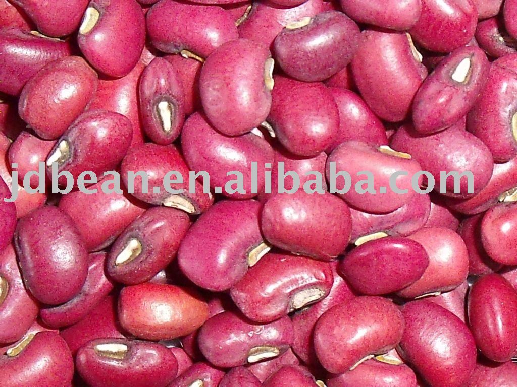 Cowpea Crop